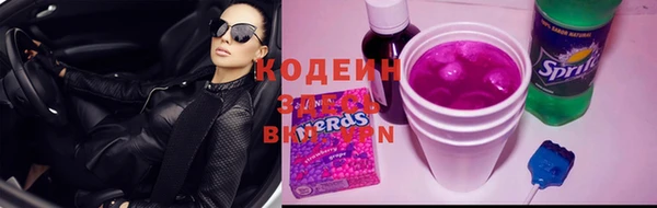 МДПВ Вяземский