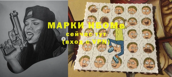 МДПВ Вяземский