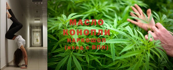 МДПВ Вяземский