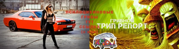 соль курить ск Пролетарск